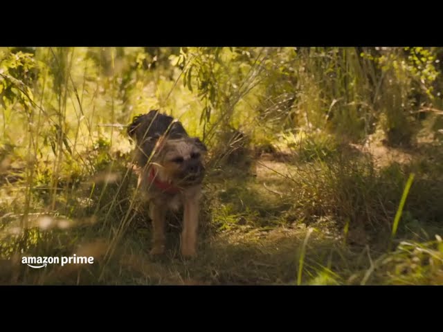 Ruim pra Cachorro | Trailer Oficial | Prime Video